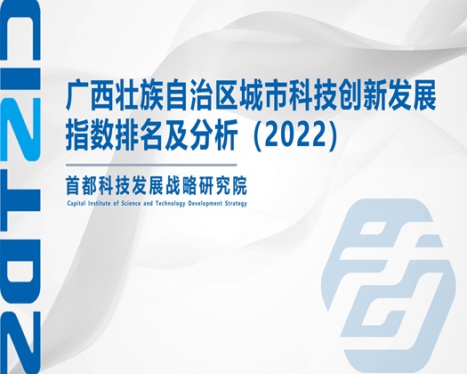 小洞白浆视频【成果发布】广西壮族自治区城市科技创新发展指数排名及分析（2022）